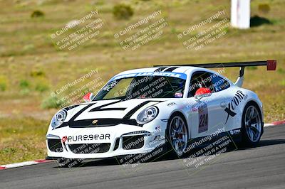 media/Apr-07-2024-VIP Trackdays (Sun) [[358c235f4a]]/Advanced Group/Session 2 (Turn 6)/